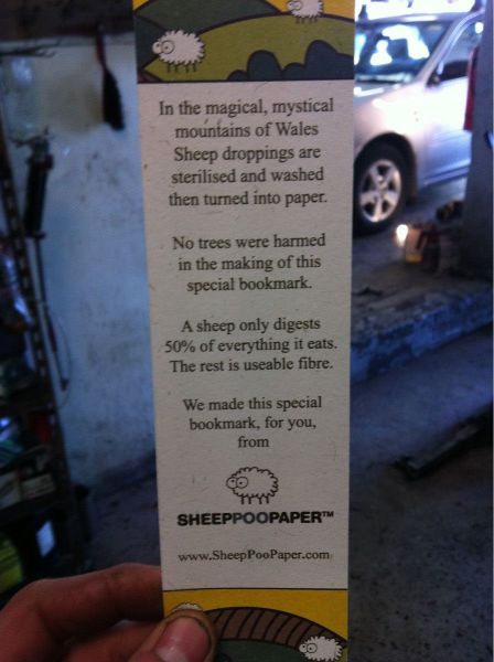Morning Picdump