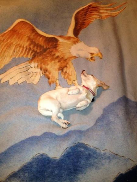Morning Picdump