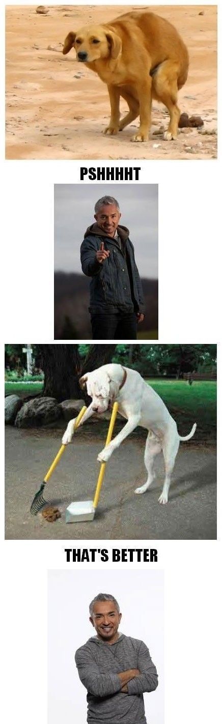 Morning Picdump