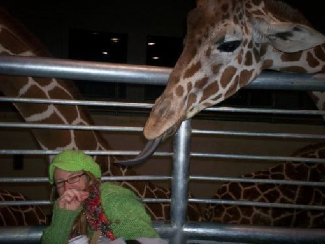 daily picdump 99 pics 31.html - 99 HD Photos | Premium Gallery 2012