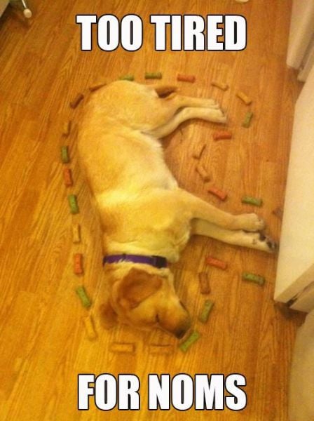 Captions That Will Make You Laugh. Part 3