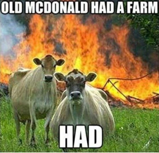 Captions That Will Make You Laugh. Part 3