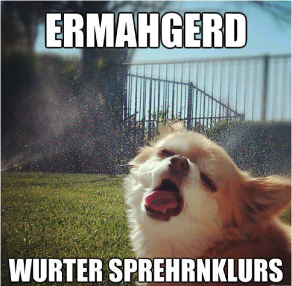 Captions That Will Make You Laugh. Part 3