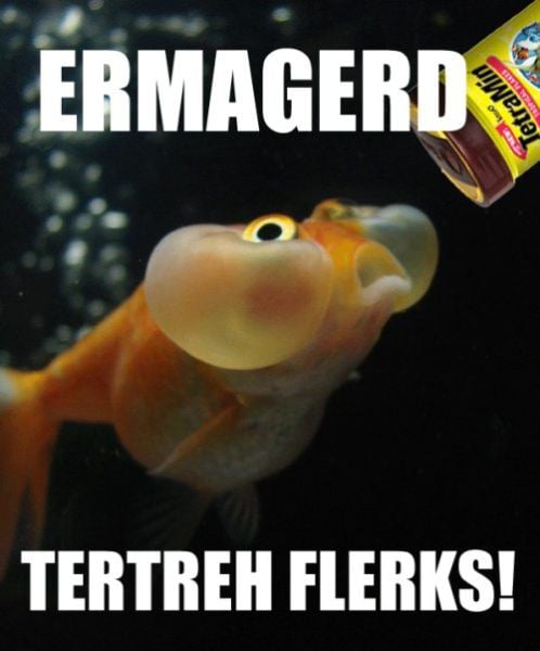 Captions That Will Make You Laugh. Part 3