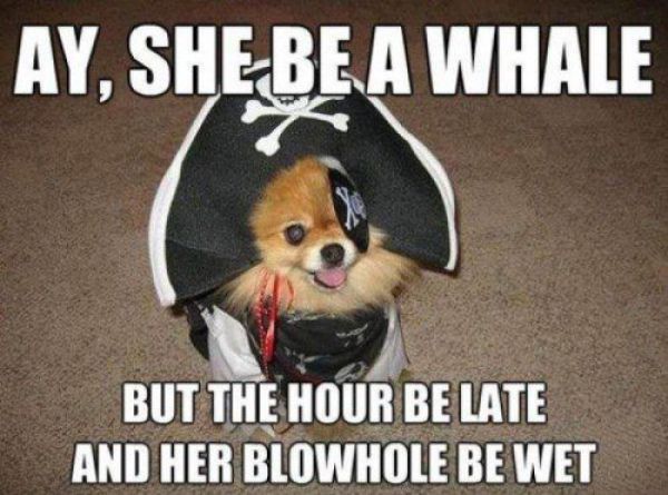 Captions That Will Make You Laugh. Part 3