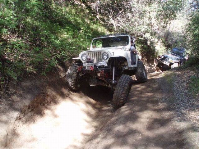 morning picdump 55 pics 6.html - 55 HD Photos | Premium Gallery 2012