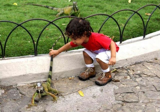 morning picdump 55 pics 6.html - 55 HD Photos | Premium Gallery 2012