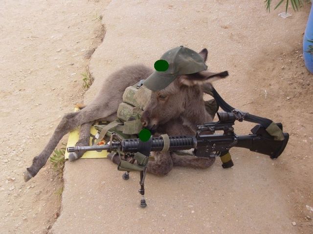 morning picdump 55 pics 6.html - 55 HD Photos | Premium Gallery 2012