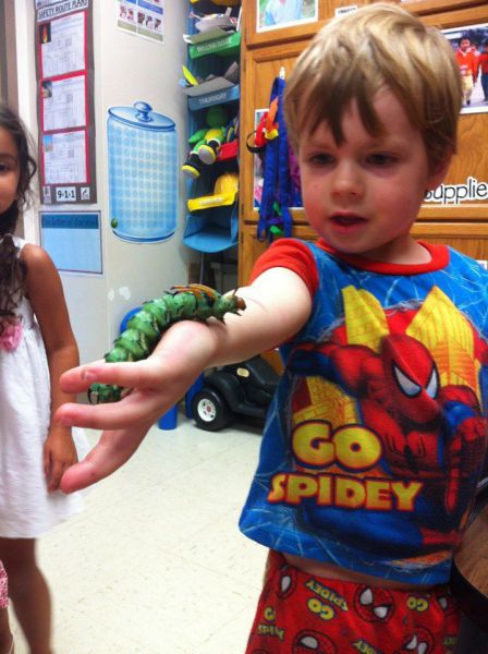 morning picdump 57 pics 2.html - 57 HD Photos | Premium Gallery 2012