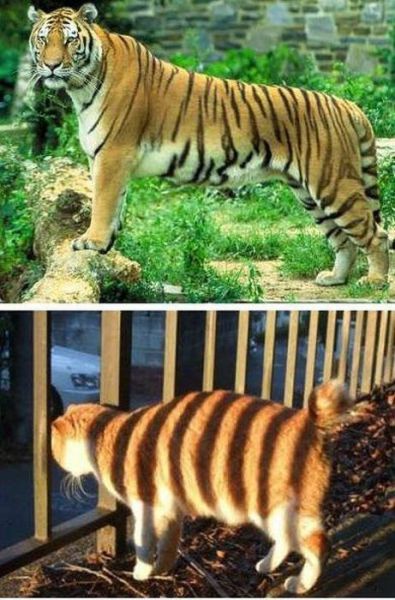Morning Picdump