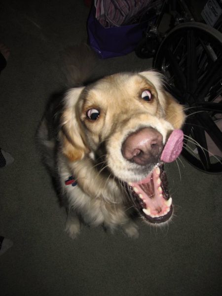 daily picdump 104 pics 18.html - 104 HD Photos | Premium Gallery 2012