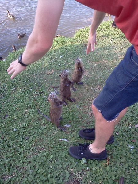 daily picdump 104 pics 18.html - 104 HD Photos | Premium Gallery 2012