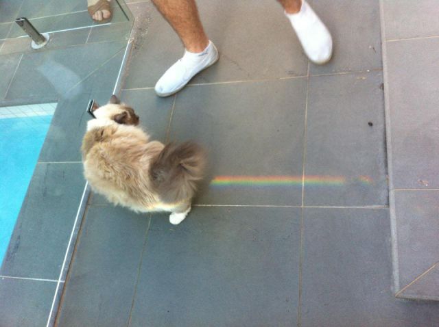 daily picdump 104 pics 18.html - 104 HD Photos | Premium Gallery 2012