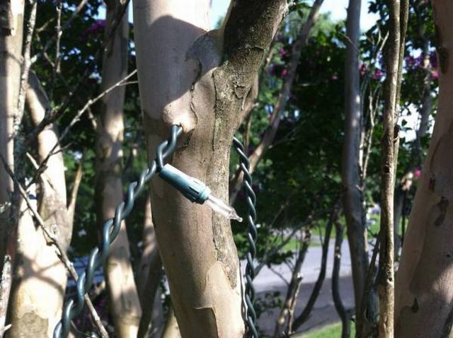 daily picdump 104 pics 18.html - 104 HD Photos | Premium Gallery 2012