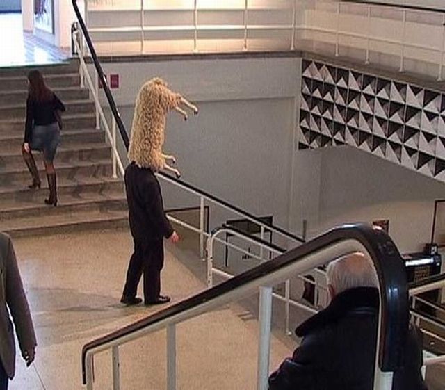daily picdump 99 pics 13.html - 99 HD Photos | Premium Gallery 2012