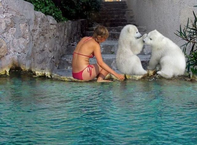 Daily Picdump
