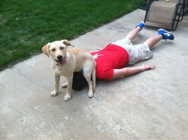 daily picdump 99 pics 13.html - 99 HD Photos | Premium Gallery 2012