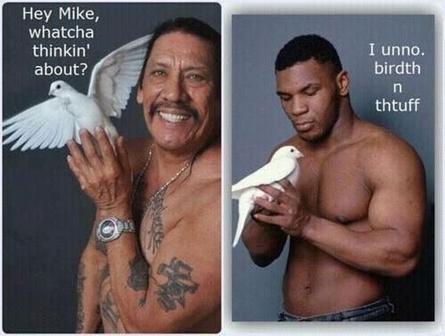 daily picdump 99 pics 13.html - 99 HD Photos | Premium Gallery 2012