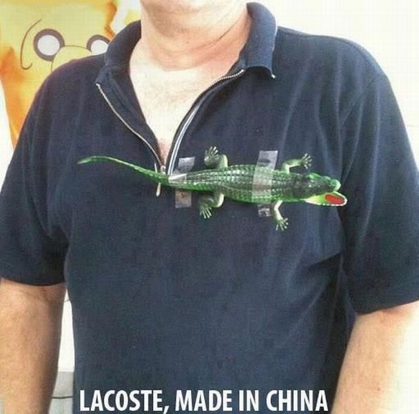 daily picdump 99 pics 13.html - 99 HD Photos | Premium Gallery 2012