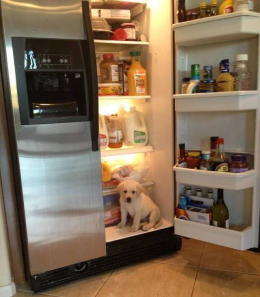 daily picdump 99 pics 13.html - 99 HD Photos | Premium Gallery 2012