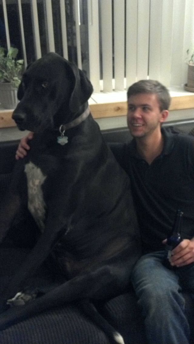 daily picdump 99 pics 13.html - 99 HD Photos | Premium Gallery 2012