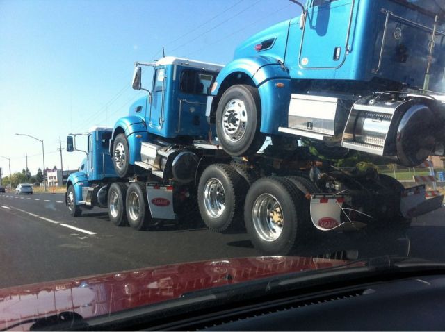 morning picdump 60 pics 19.html - 60 HD Photos | Premium Gallery 2012