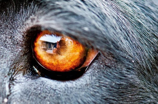 morning picdump 60 pics 19.html - 60 HD Photos | Premium Gallery 2012