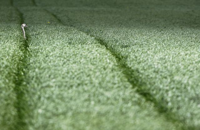 daily picdump 93 pics 18.html - 93 HD Photos | Premium Gallery 2012