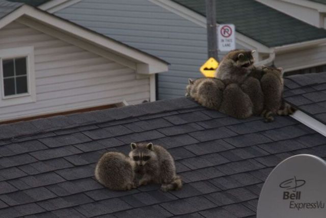 morning picdump 59 pics 15.html - 59 HD Photos | Premium Gallery 2012