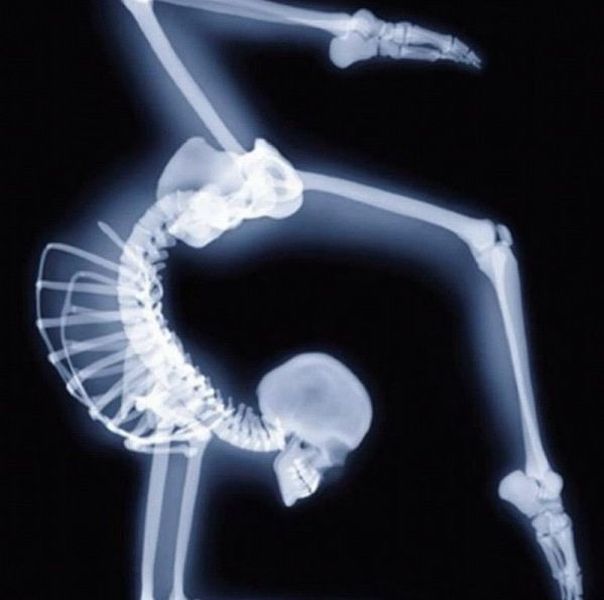 morning picdump 59 pics 15.html - 59 HD Photos | Premium Gallery 2012