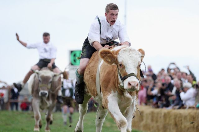 morning picdump 59 pics 15.html - 59 HD Photos | Premium Gallery 2012