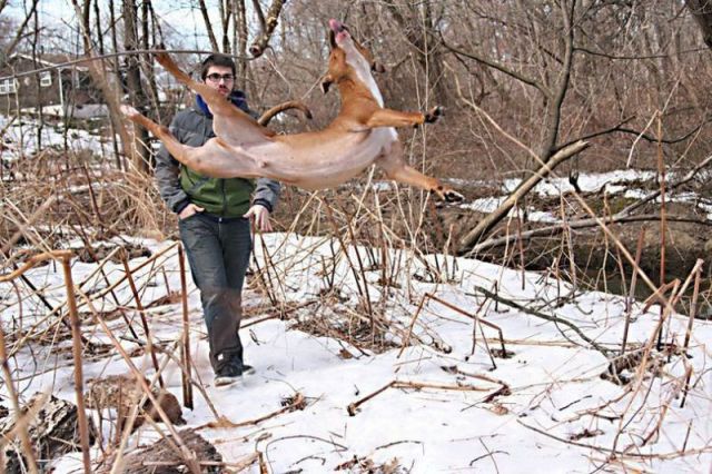 morning picdump 58 pics 30.html - 58 HD Photos | Premium Gallery 2012