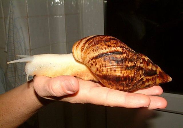 daily picdump 114 pics 45.html - 114 HD Photos | Premium Gallery 2012