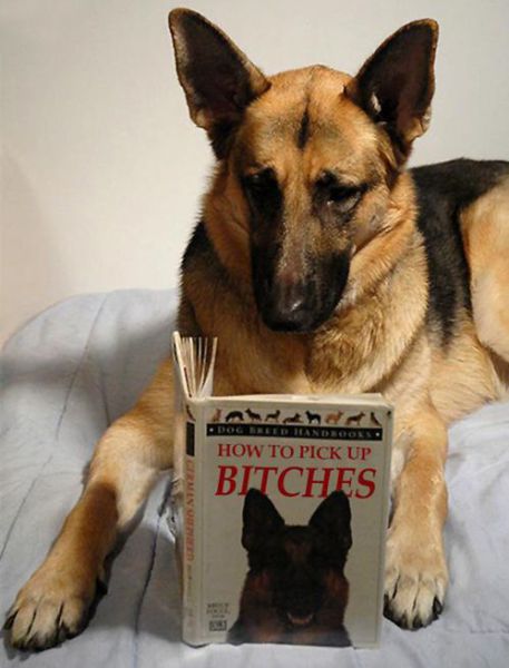 morning picdump 58 pics 22.html - 58 HD Photos | Premium Gallery 2012