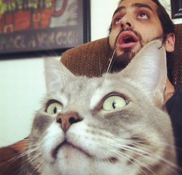 morning picdump 62 pics 29.html - 62 HD Photos | Premium Gallery 2012