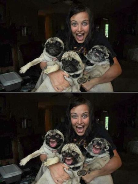 morning picdump 62 pics 29.html - 62 HD Photos | Premium Gallery 2012