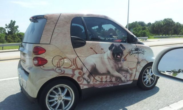 morning picdump 62 pics 29.html - 62 HD Photos | Premium Gallery 2012