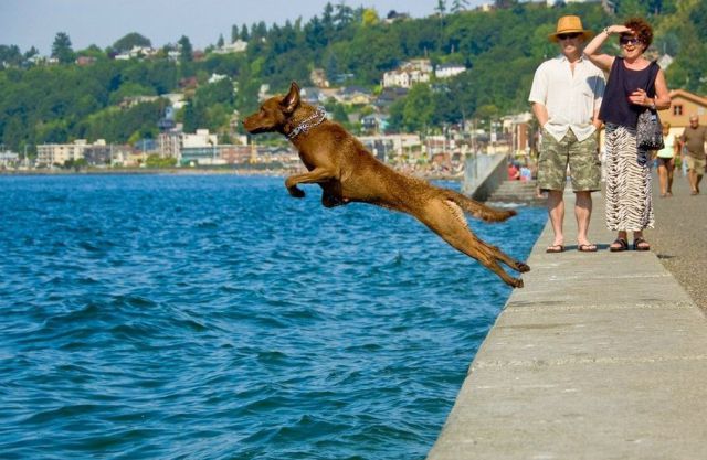 morning picdump 62 pics 29.html - 62 HD Photos | Premium Gallery 2012