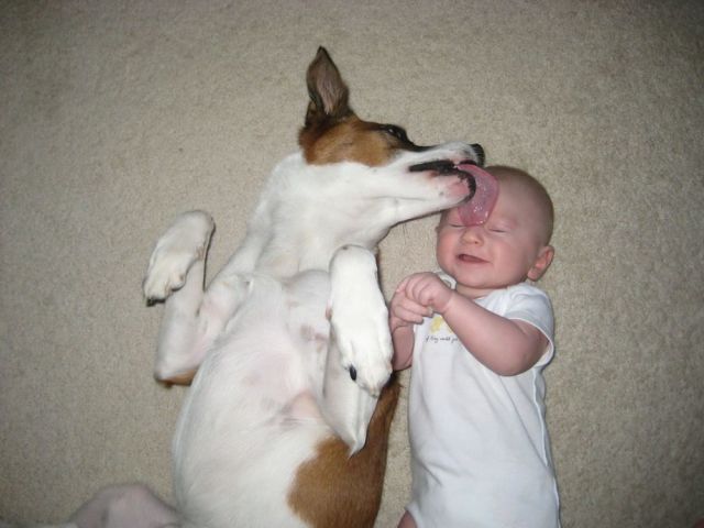 morning picdump 62 pics 29.html - 62 HD Photos | Premium Gallery 2012