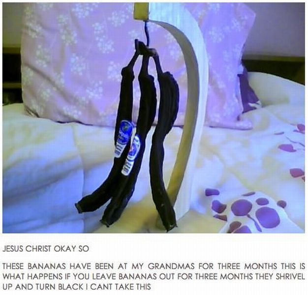 morning picdump 62 pics 29.html - 62 HD Photos | Premium Gallery 2012