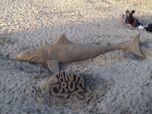 morning picdump 62 pics 29.html - 62 HD Photos | Premium Gallery 2012