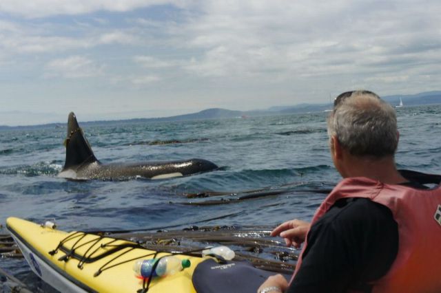 morning picdump 62 pics 29.html - 62 HD Photos | Premium Gallery 2012