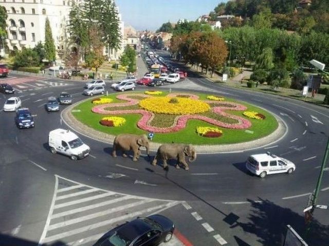 morning picdump 62 pics 29.html - 62 HD Photos | Premium Gallery 2012