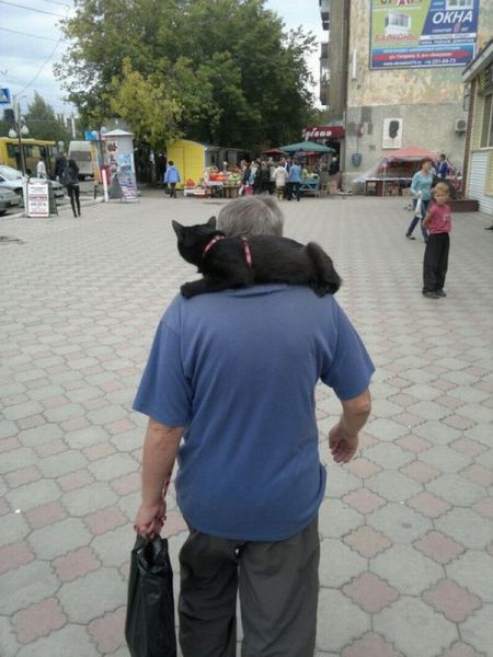 morning picdump 62 pics 29.html - 62 HD Photos | Premium Gallery 2012