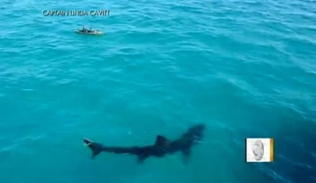 morning picdump 54 pics 17.html - 54 HD Photos | Premium Gallery 2012