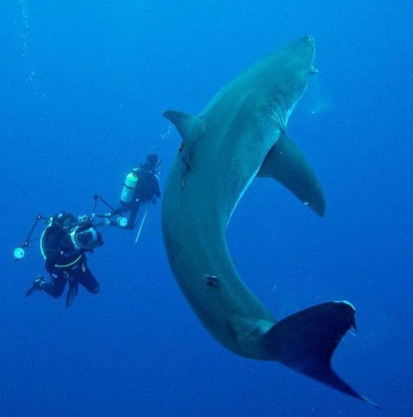 morning picdump 54 pics 17.html - 54 HD Photos | Premium Gallery 2012