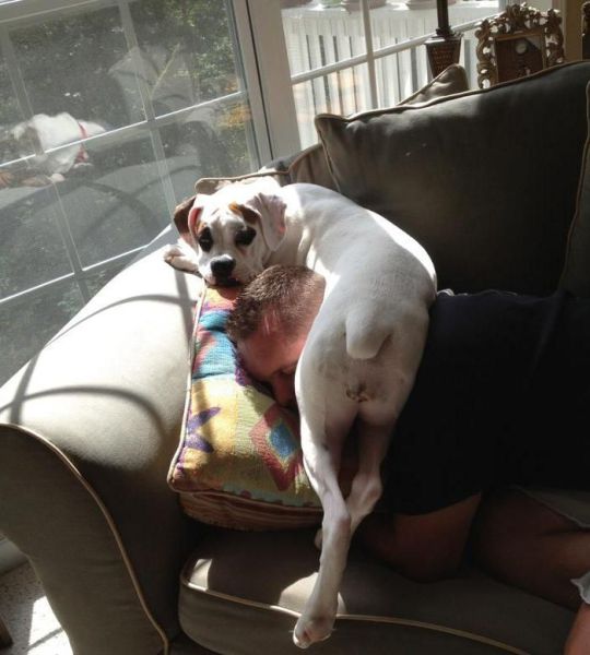 morning picdump 54 pics 17.html - 54 HD Photos | Premium Gallery 2012