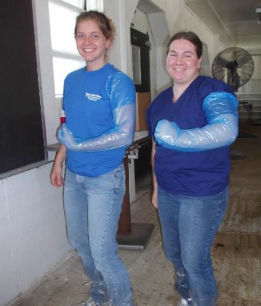 And You Think Your Job Sucks?