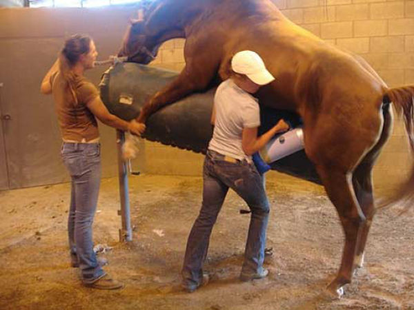 And You Think Your Job Sucks?