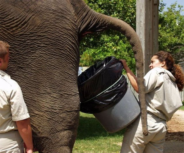 And You Think Your Job Sucks?